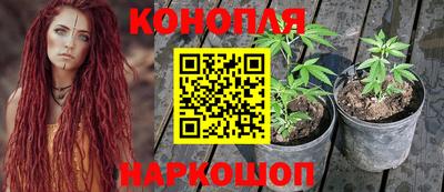 стаф Пугачёв