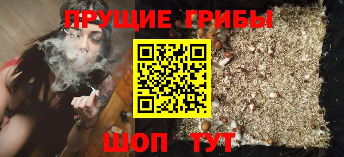 Галлюциногенные грибы Cubensis Севастополь