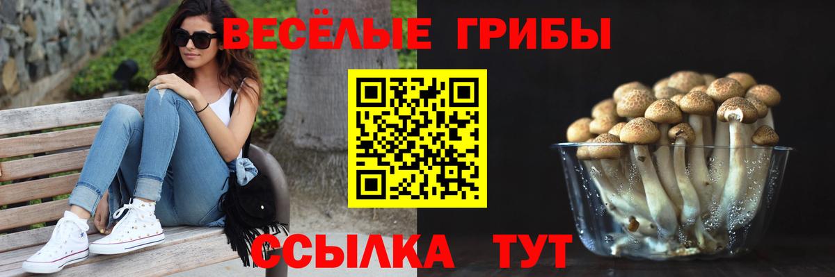 Галлюциногенные грибы мицелий  Вход с VPN  Псилоцибиновые грибы MAGIC MUSHROOMS  Севастополь 